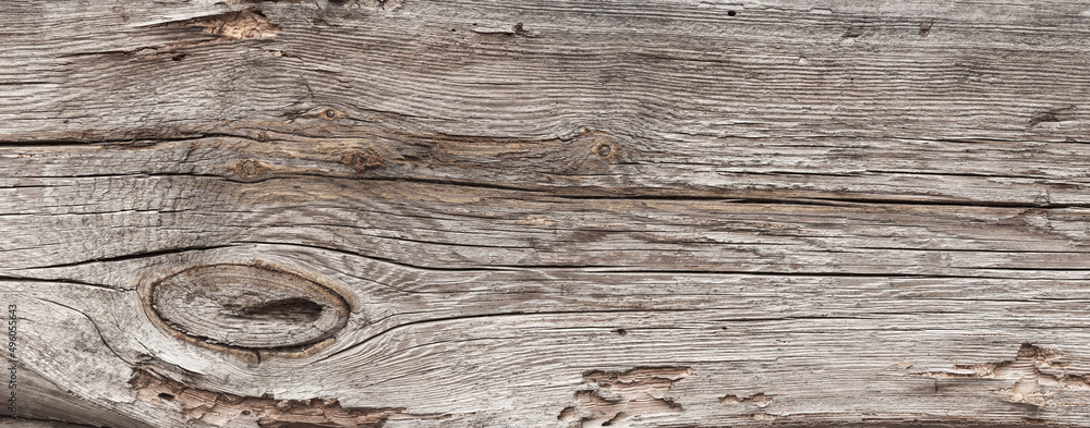  Naturalne tło niejednolitych starych grubych drewnianych desek z teksturą korozji drewna.. Kolory brązu. Tapeta. - obrazy, fototapety, plakaty 