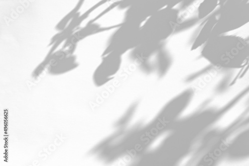Gray shadow of the wild roses leaves and buds on a white wall. Abstract neutral nature concept blurred background. Space for text. Overlay effect for photo.