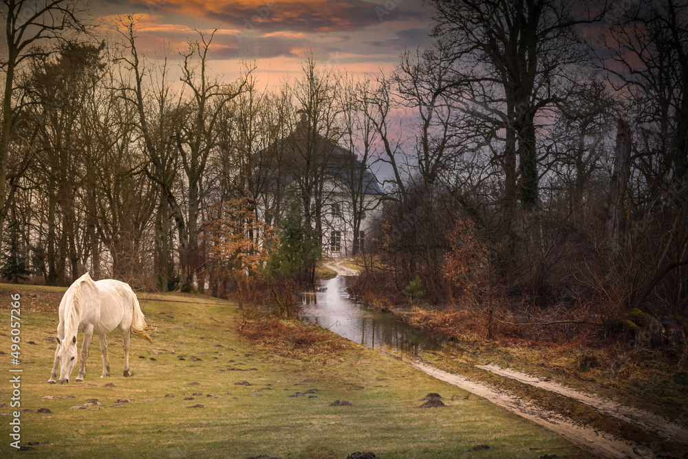 Fairy-tale images of nature - nostalgic landscape images. Fairy-tale images of nature - nostalgic landscape images.