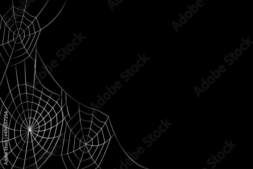 halloween cobweb background. halloween cobweb wallpaper.
