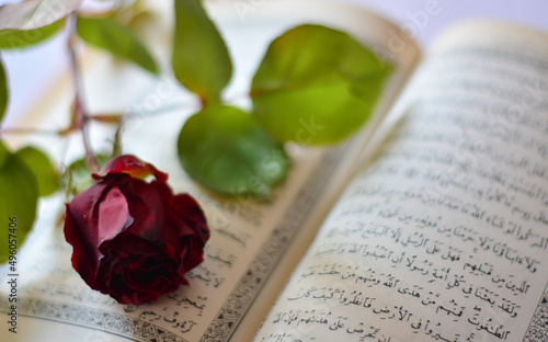 Photography a red rose on an open book