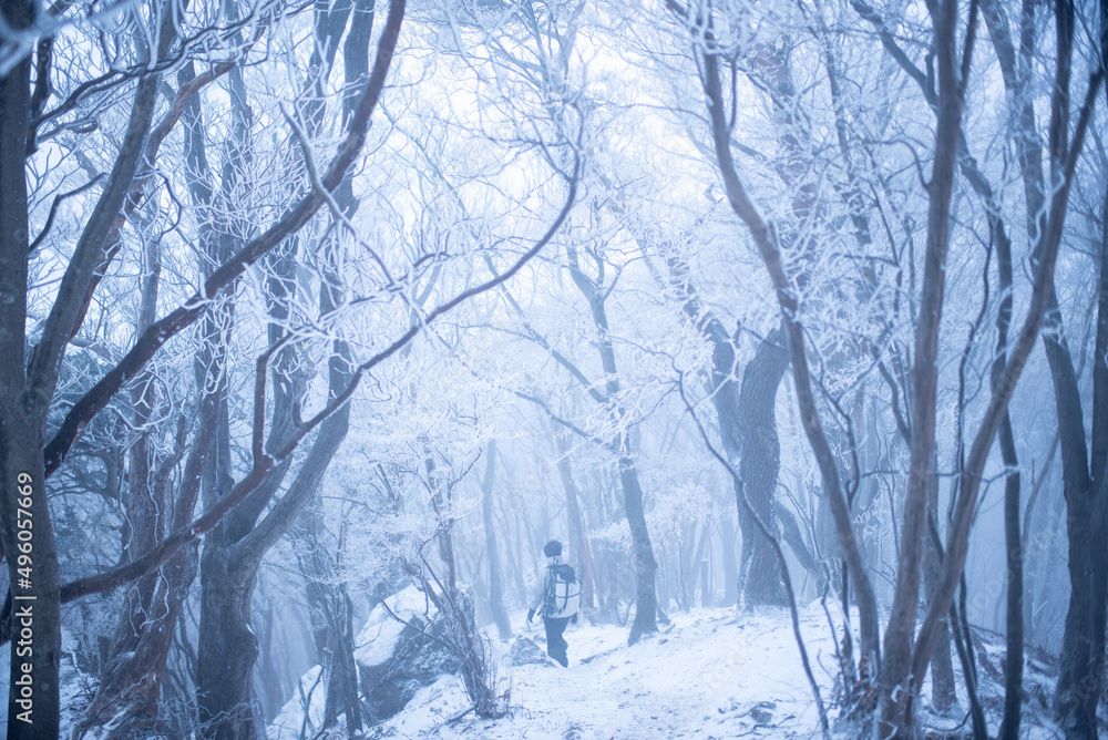 Fototapeta premium 高見山 冬登山 雪山 山ガール