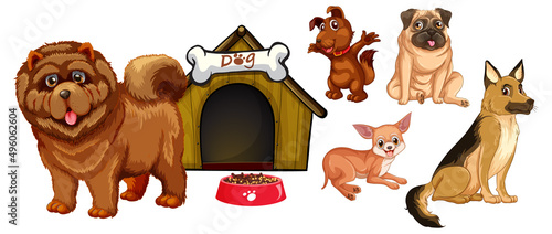 Set of different cute dogs in cartoon style