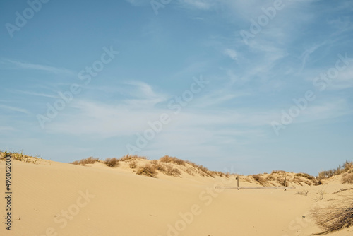 Sand dunes with grass bushes, sky with feather clouds. Desert dunes on the Black Sea coast