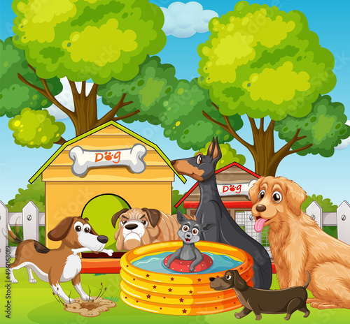 A group of different dog do various activities in the park