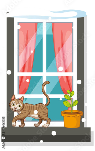 Cute cat walking on narrow window with snow falling