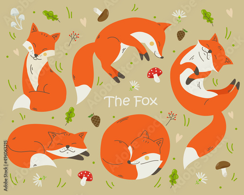 Foxes sleep in the forest. Flat style, pastel colors. Mushrooms, berries, leaves, forest animal character. Pattern vector