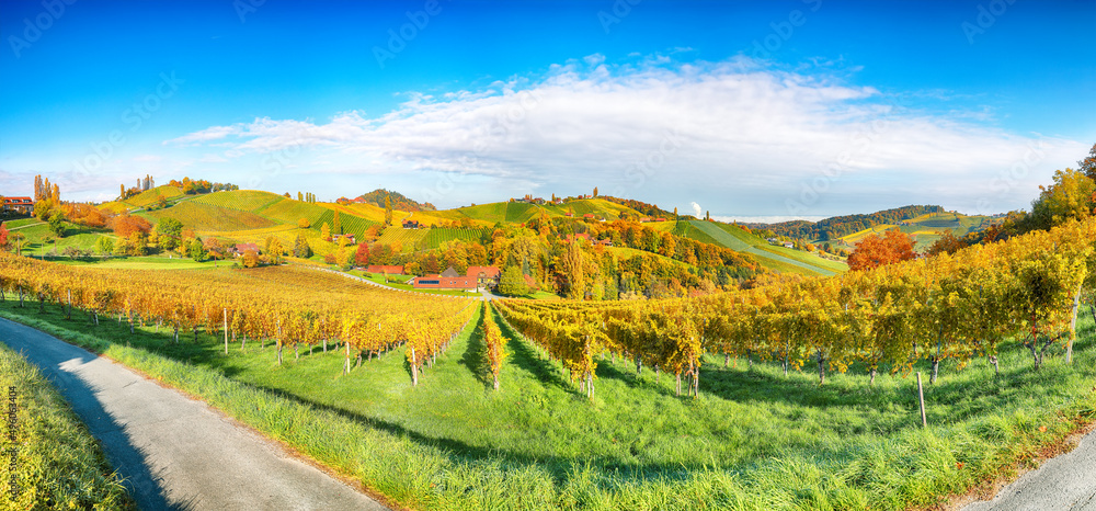 Obraz premium Fabulous vineyards landscape in South Styria near Gamlitz.
