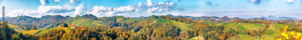 Splendid vineyards landscape in South Styria near Gamlitz. Splendid vineyards landscape in South Styria near Gamlitz.