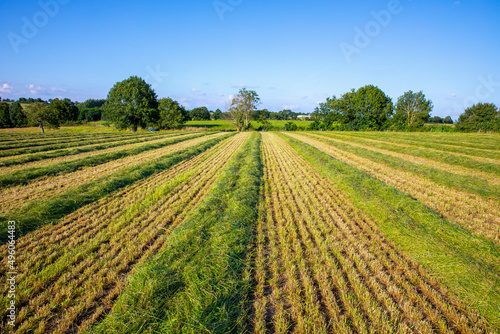 Paysage de campagne  fauchage du foin dans les champs.