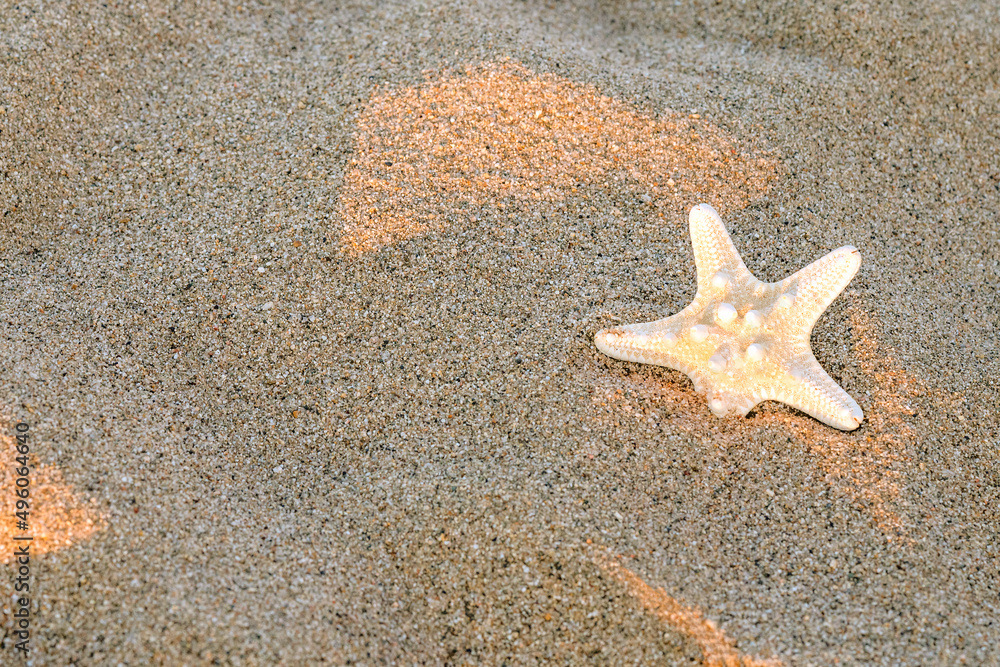 Starfish on the sand. Travel and beach vacation. Free space for text. Starfish on the sand. Travel and beach vacation. Free space for text.
