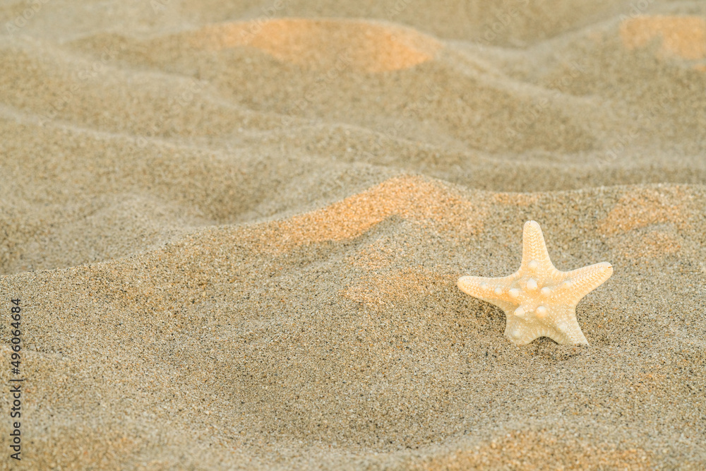 Beach with sea star on sand. Summer holiday background. Beach with sea star on sand. Summer holiday background.