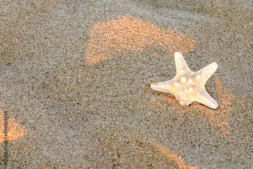Starfish on the sand. Travel and beach vacation. Free space for text.