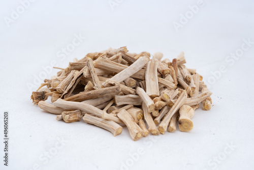 Shatavari, Wild Asparagus, Asparagus racemosus closeup over isloated background