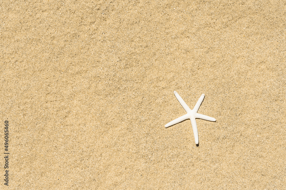 Top view of sandy background with Starfish. Free space for text. Top view of sandy background with Starfish. Free space for text.