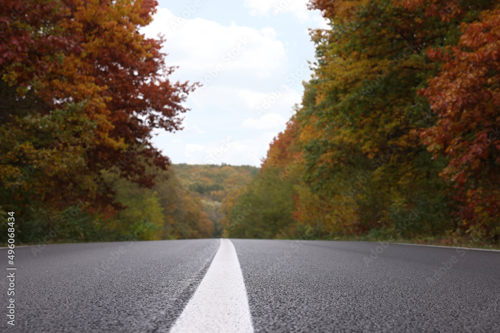 Naklejka premium Beautiful view of asphalt highway going through autumn forest