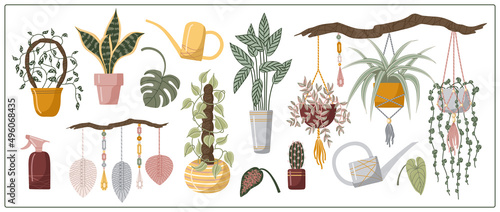 Set hand drawn vector isolated elements of houseplant. A flower in a pot. Indoor plants. Garden accessories. Home gardening. Color image on a white background..