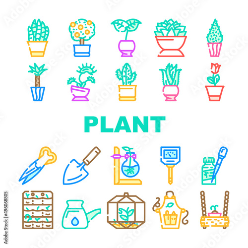 Potted Plant And Care Accessories Icons Set Vector. Sansevieria Trifasciata And Citrus Tree, Monstera Deliciosa And Buxus Sempervirens Potted Plant. Florarium Equipment Color Illustrations