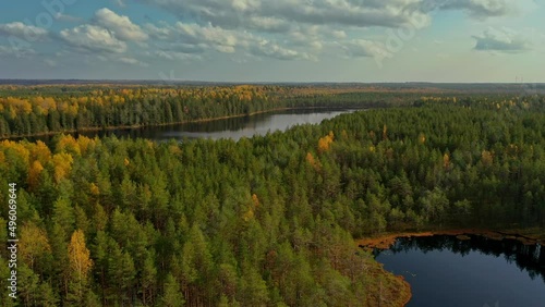 Aerial view of the beautiful  autumn landscape in sunny day.  Forest and calm tranquil lake. White clouds mirroring on water surface.