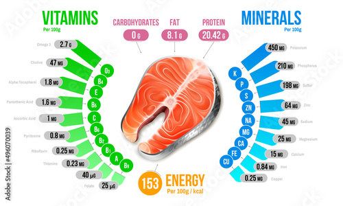 Salmon Nutrients Infographics Diagram
