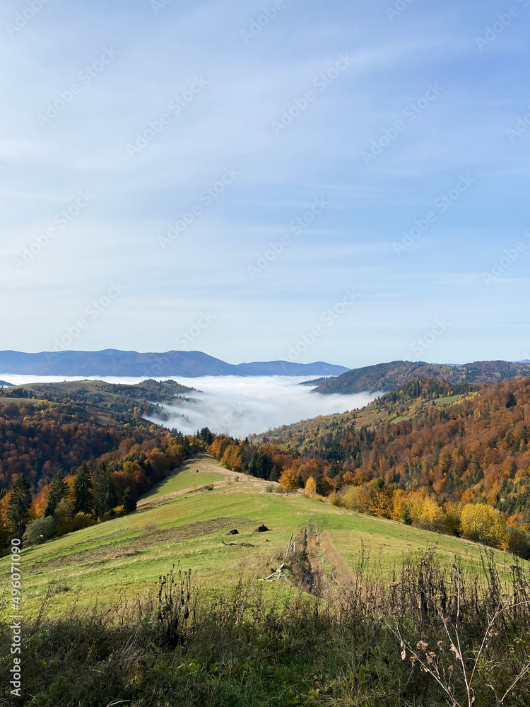 Ukrainian carpathians mountain landscape in summer