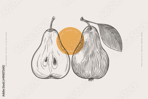 Hand-drawn pear fruit in engraving style. Dessert fruits, sliced and whole. Design element for markets, shops, cafes, restaurants and packaging. Vintage botanical illustration.