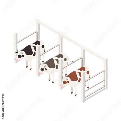 Milking Cows Isometric Composition
