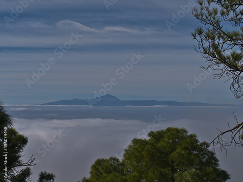 View of island Tenerife with Pico del Teide through the branches of green Canary Island pine trees in a forest in Tamadaba Natural Park, Gran Canaria.