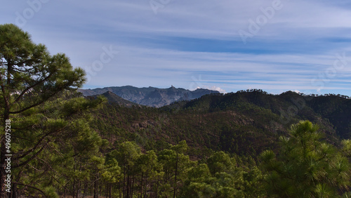 Beautiful view of the rough mountains of central Grand Canaria island  Spain viewed from Tamadaba Natural Park with popular rock Roque Nublo and trees.