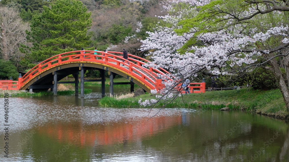 bridge in the park