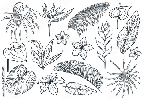 Wallpaper Mural Tropical plant. Summer hawaii flower set. Exotic nature for t-shirt print. Palm or floral tropic design Torontodigital.ca