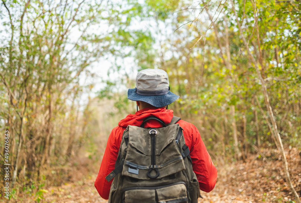 Man traveler with backpack hiking walking in forest at autumn vacations outdoor tracking shot from behind. Tourist walks on adventure trip in natural at holidays. Travel lifestyle concept
