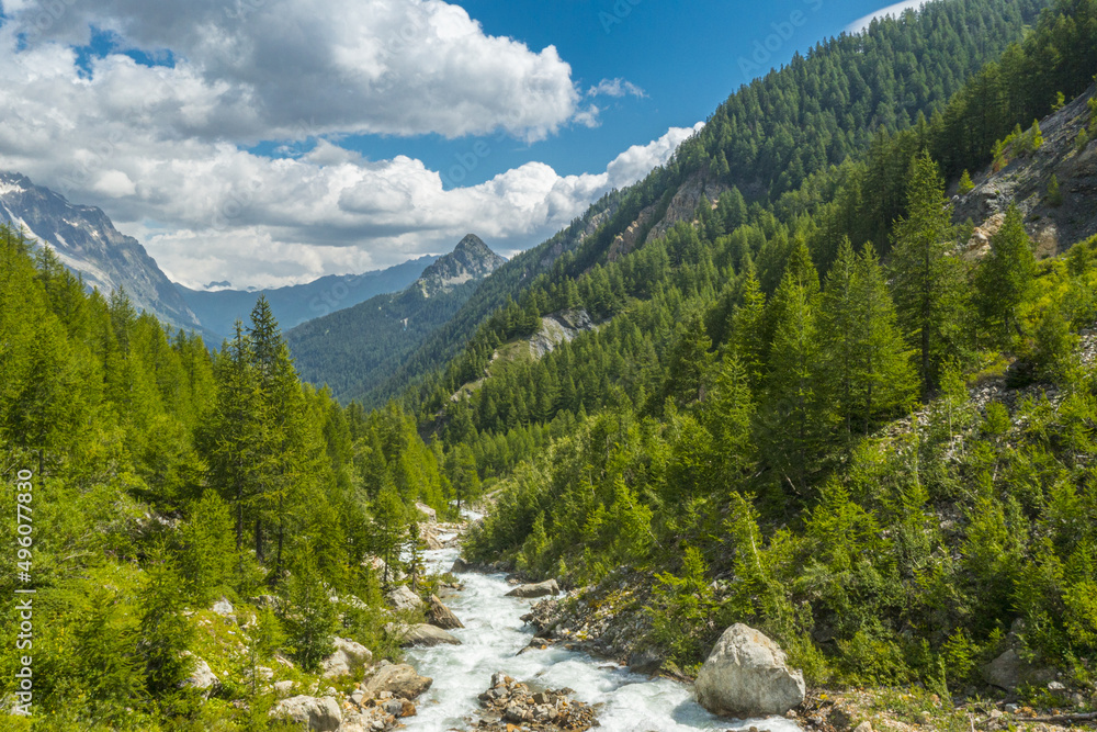 Obraz premium SIM-1191721