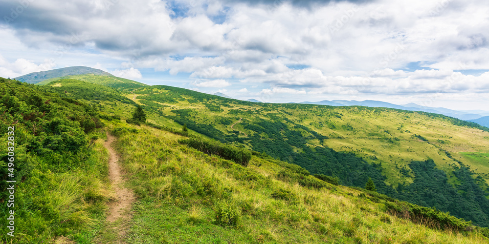 beautiful view of idyllic alpine mountain scenery. fresh green meadows on a sunny day with blue sky and clouds. dirt road and hiking trail to petros mountain. travel ukrainian carpathians concept