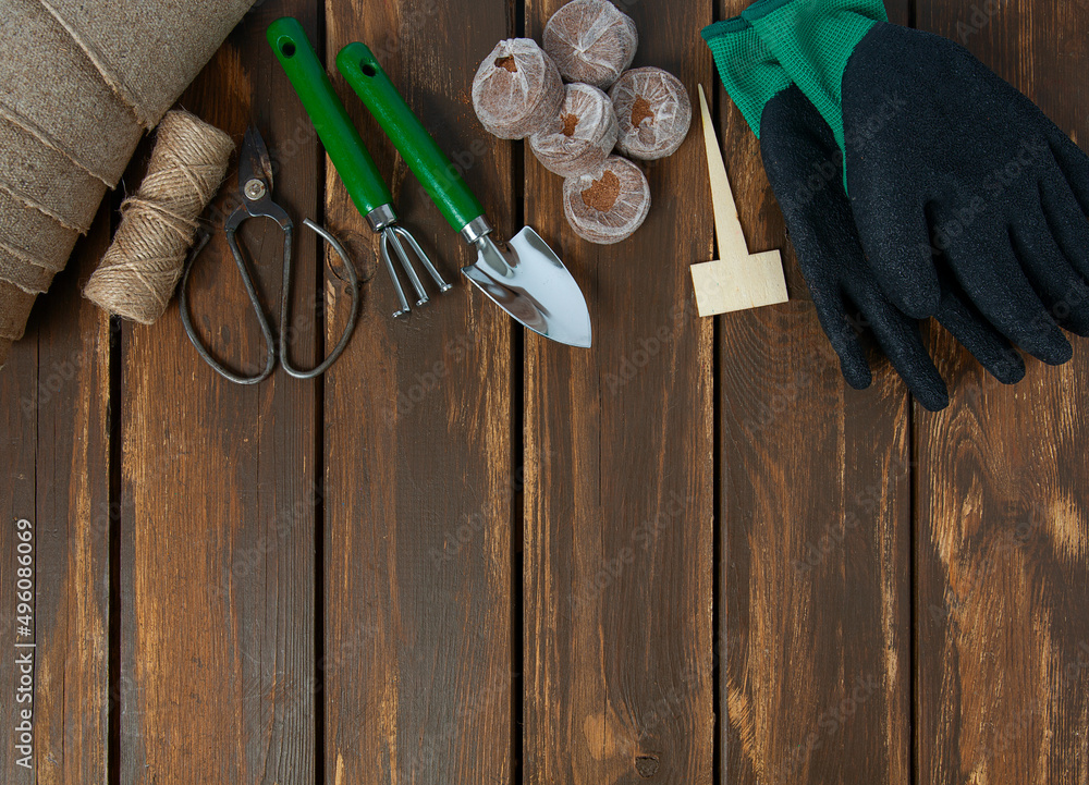 Garden tools on brown wooden surface