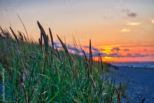 Reeds on dunes at sunset - Baltic Sea  Poland