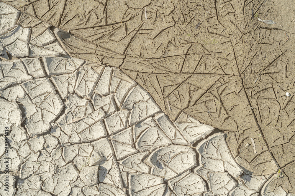 Fototapeta premium Dried and wet cracked silt soil, separated on diagonal, textured.
