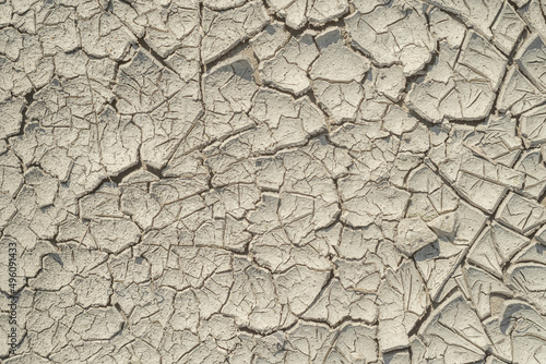 Dried cracked gray mud soil, textured. photo