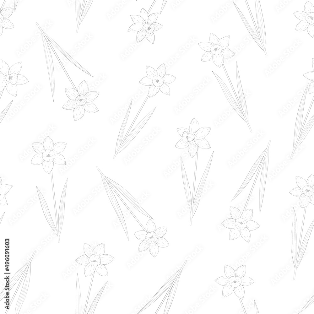 Fototapeta premium Seamless pattern daffodils spring flowers coloring vector illustration