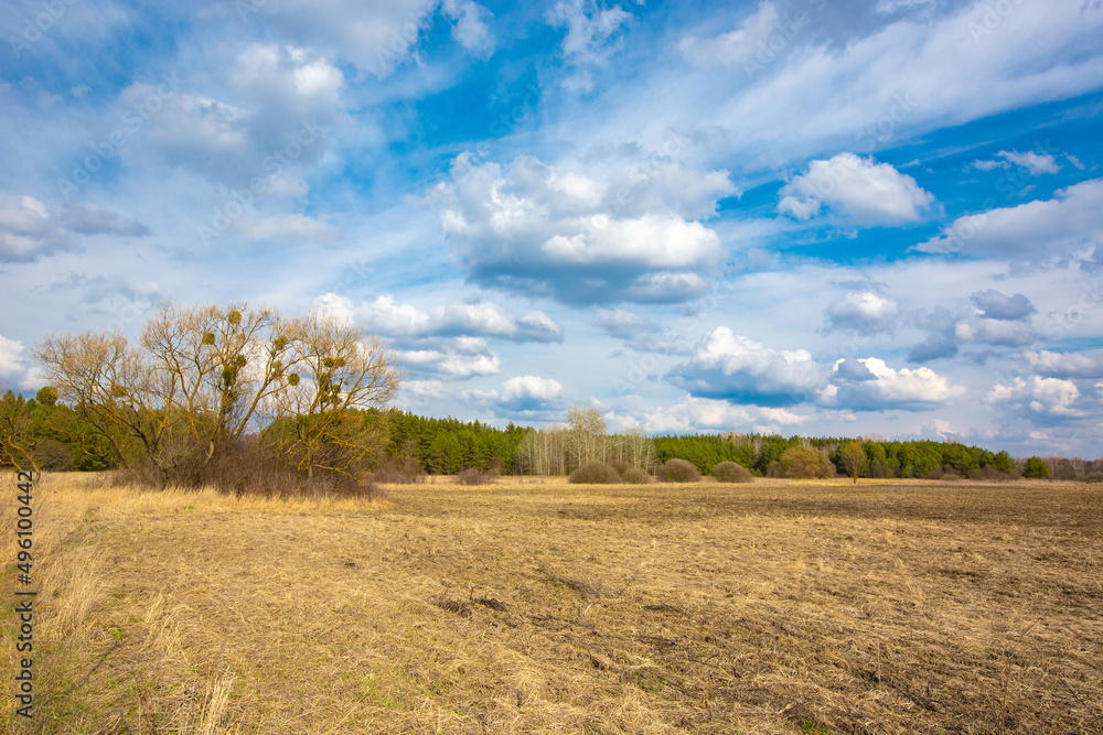 spring in steppe