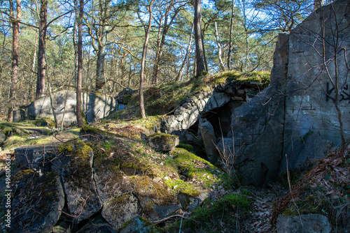 Mit dem Wald verwachsene Ruine der Pulverfabrik Dünenberg im Naturschutzgebiet Besenhorster Sanddünen in Geesthacht 