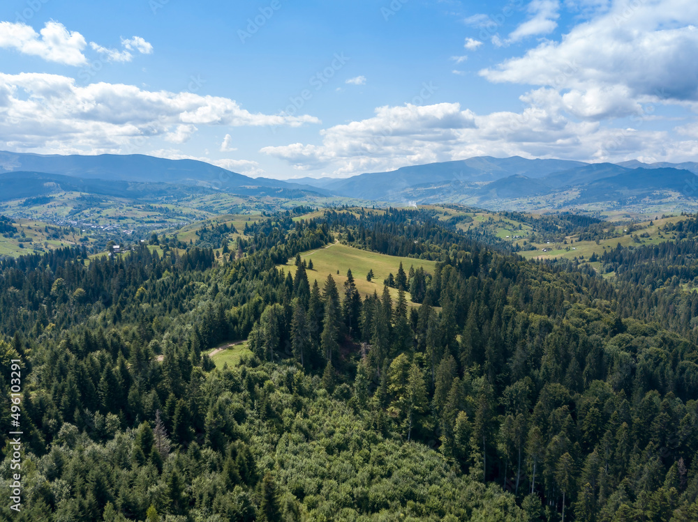 Naklejka premium Green mountains of Ukrainian Carpathians in summer. Coniferous trees on the slopes. Aerial drone view.