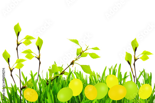 Beautiful Easter background with birch branches with leaves and green and yellow Easter eggs on a white isolated background with green grass