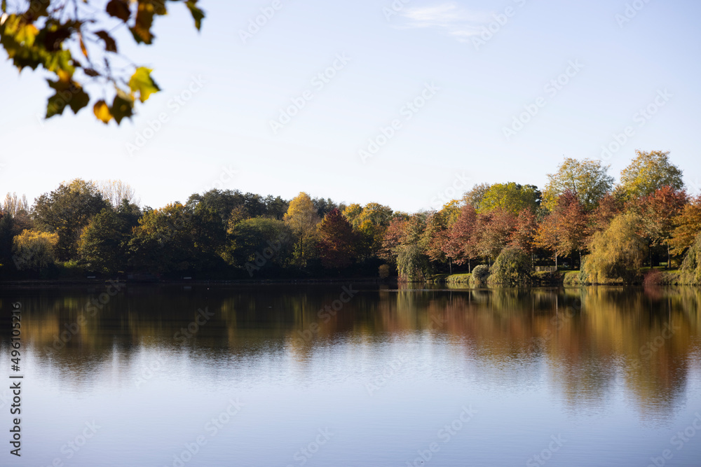 Lake in forest park water autumn Lake in forest park water autumn
