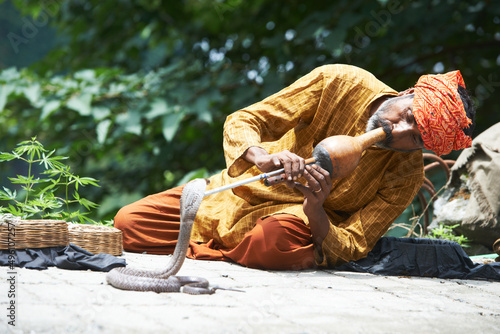Quadro su tela Snake charmer man in turban playing music before snake in India