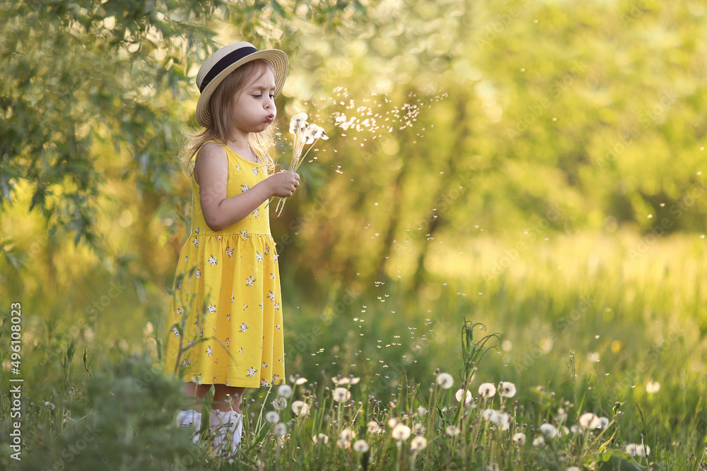 Cute little girl in a straw hat blowing on a dandelion flower on the nature in the summer. Child having activity fun outside. Concept of a healthy child without allergies. High quality photo Cute little girl in a straw hat blowing on a dandelion flower on the nature in the summer. Child having activity fun outside. Concept of a healthy child without allergies. High quality photo