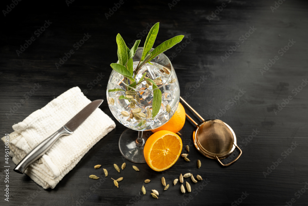 Modern Cocktail gin tonic herb spices fishbowl glass plain background