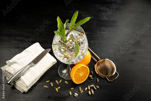 Obraz na płótnie Modern Cocktail gin tonic herb spices fishbowl glass plain background w salonie