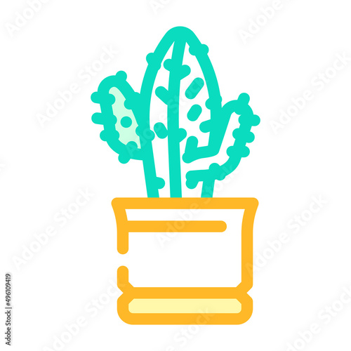 euphorbia acrurensis color icon vector. euphorbia acrurensis sign. isolated symbol illustration