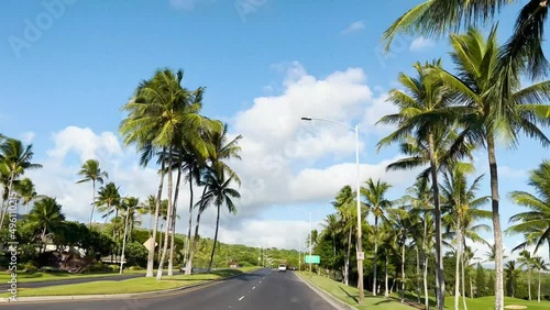 Car ride among palm trees.